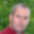 Profilbild von Peter Herold