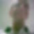 Profilbild von Ralf Schink