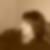 Profilbild von Doreen Kalok