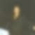 Profilbild von Michael Prante