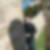 Profilbild von Wilfried Soika
