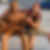Profilbild von Frank Bothe
