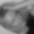 Profilbild von Mareen Bernard
