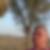 Profilbild von Dieter Wezel