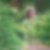 Profilbild von Christa Halfpap