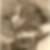 Profilbild von Helga von Spreckelsen