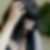 Profilbild von Silvia Sauf