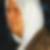Profilbild von Frank Stridde