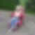 Profilbild von Martina Ansorge
