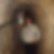 Profilbild von Linda Simon