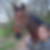 Profilbild von Andrea Volk