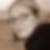 Profilbild von Silke Prigand