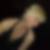 Profilbild von Simone Pinkpank