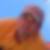 Profilbild von Oliver Betzing