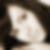 Profilbild von Nicole Scharf