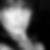 Profilbild von Veronika Petrow