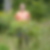 Profilbild von Hans-Peter Fethke