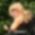 Profilbild von Cornelia Schnackenbeck