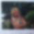 Profilbild von Katharina Bettina Falck