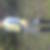 Profilbild von Heck Siegfried