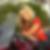 Profilbild von Dana Matzick