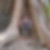 Profilbild von Dirk Nolte