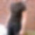 Profilbild von Dennis Schönsee