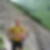 Profilbild von Peter Freund