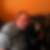 Profilbild von Uwe Weigelt