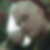Profilbild von Maik Ramsthaler