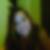 Profilbild von Sabrina Cappuccio