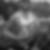 Profilbild von Salim Ali