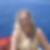 Profilbild von Annette Graeber