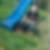 Profilbild von Lutz Falke