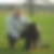 Profilbild von Roland Bichon