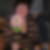 Profilbild von Kerstin Michaelis