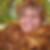 Profilbild von Annette Ross