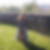 Profilbild von Bettina Beyer