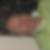 Profilbild von Kurt Sellenthin