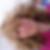 Profilbild von Anne Orr