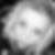Profilbild von Eileen Rattinger