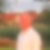 Profilbild von Martin Henn