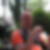 Profilbild von Hartmut Kothe