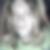 Profilbild von Torsten Trybura