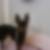 Profilbild von Christan Grewing