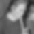 Profilbild von Helene Keller