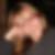 Profilbild von Anja Walther