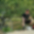 Profilbild von Christian Clemens Meussling