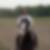 Profilbild von Andreas Stranig