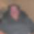 Profilbild von Thomas Neß
